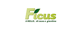 Ficus
